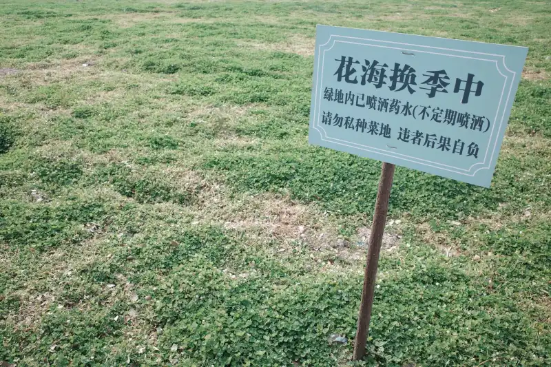 滕州市敏陶阅服装店：2025春夏女装流行趋势与面料技术应用解析
